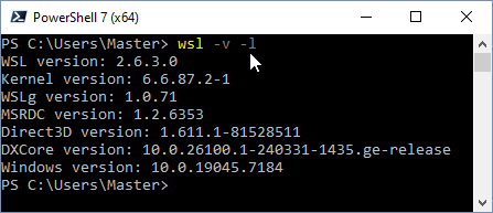 WSL info